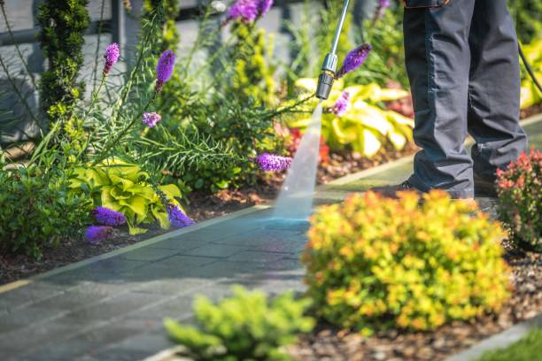 Trusted Raceland, KY Pressure Washing Services Experts